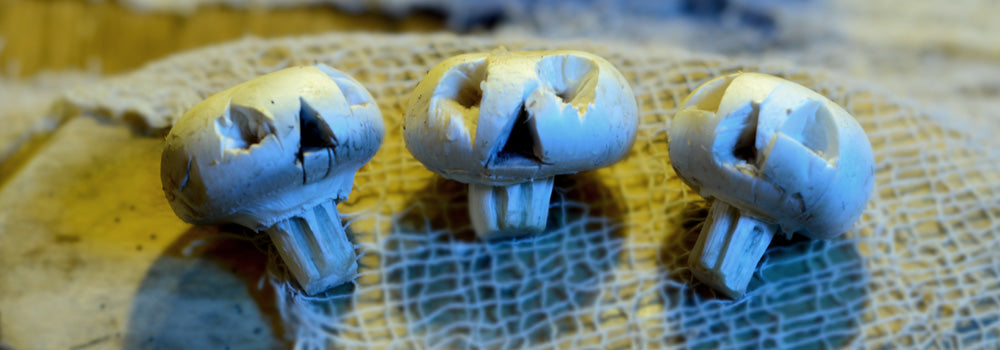 Totenkopf Pilze als Halloween Snack