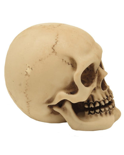 2er Set Graveyard Totenkopf Medium