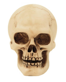 2er Set Graveyard Totenkopf Medium
