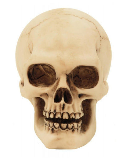2er Set Graveyard Totenkopf Medium