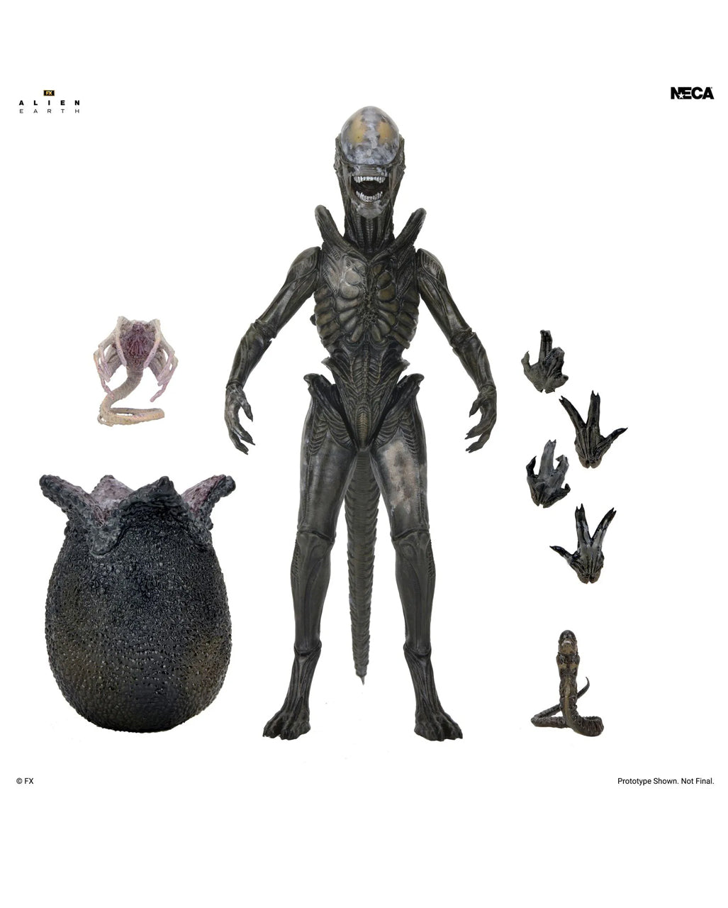 Alien Earth Wendy Xenomorph Ultimate Action Figurine 18cm
