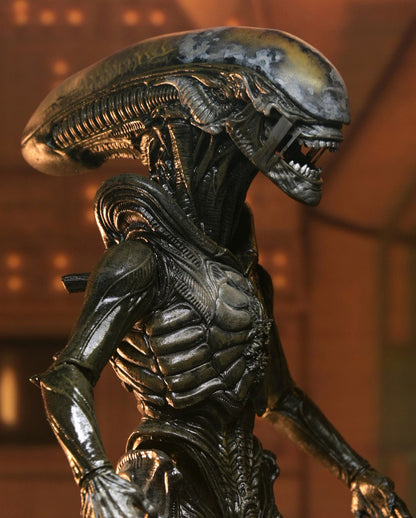 Alien Earth Wendy Xenomorph Ultimate Action Figurine 18cm