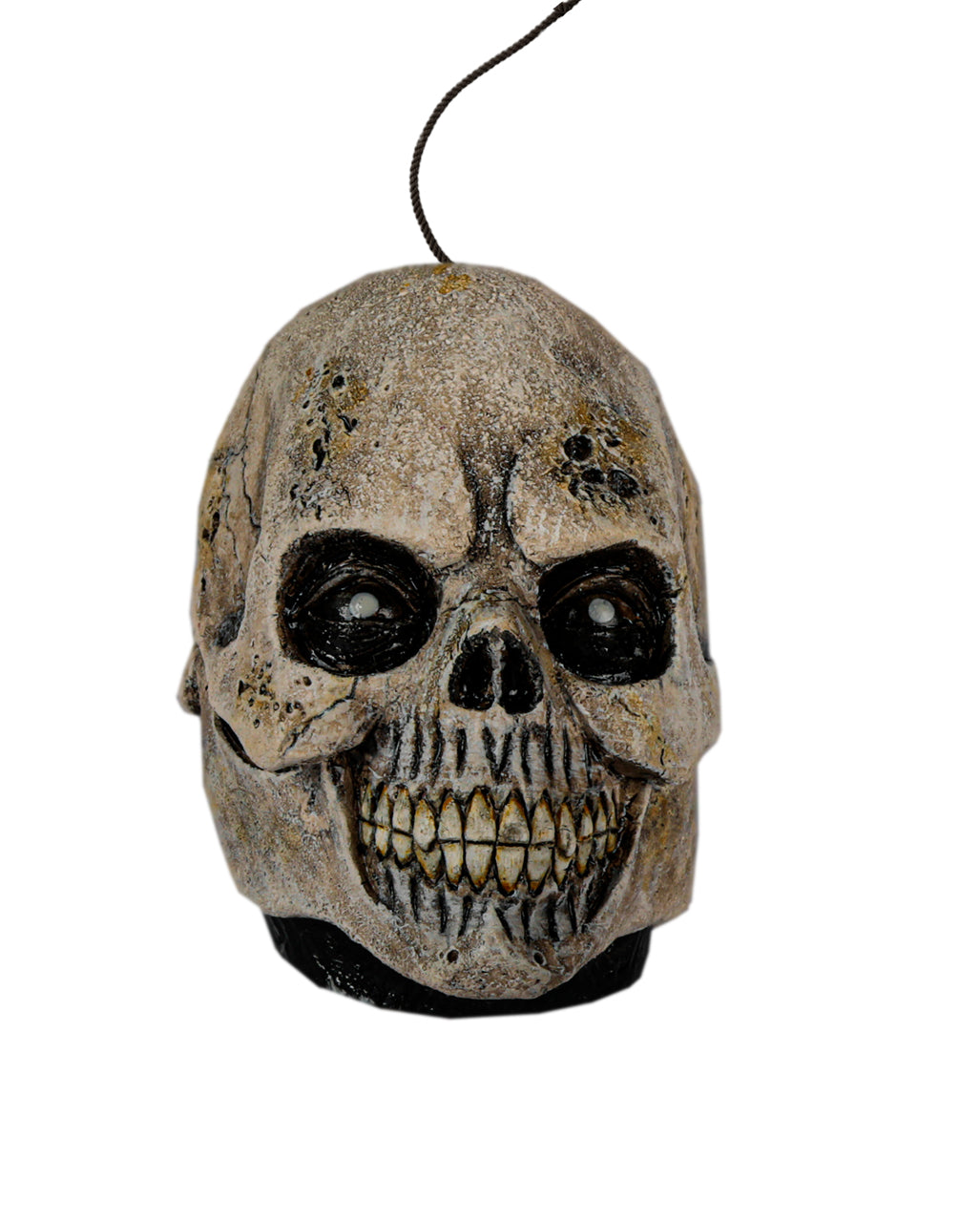 Antico Teschio Rimpicciolito Da Appendere 15cm