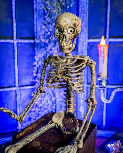 Antique Beige Positionable Skeleton With Eyes 37cm