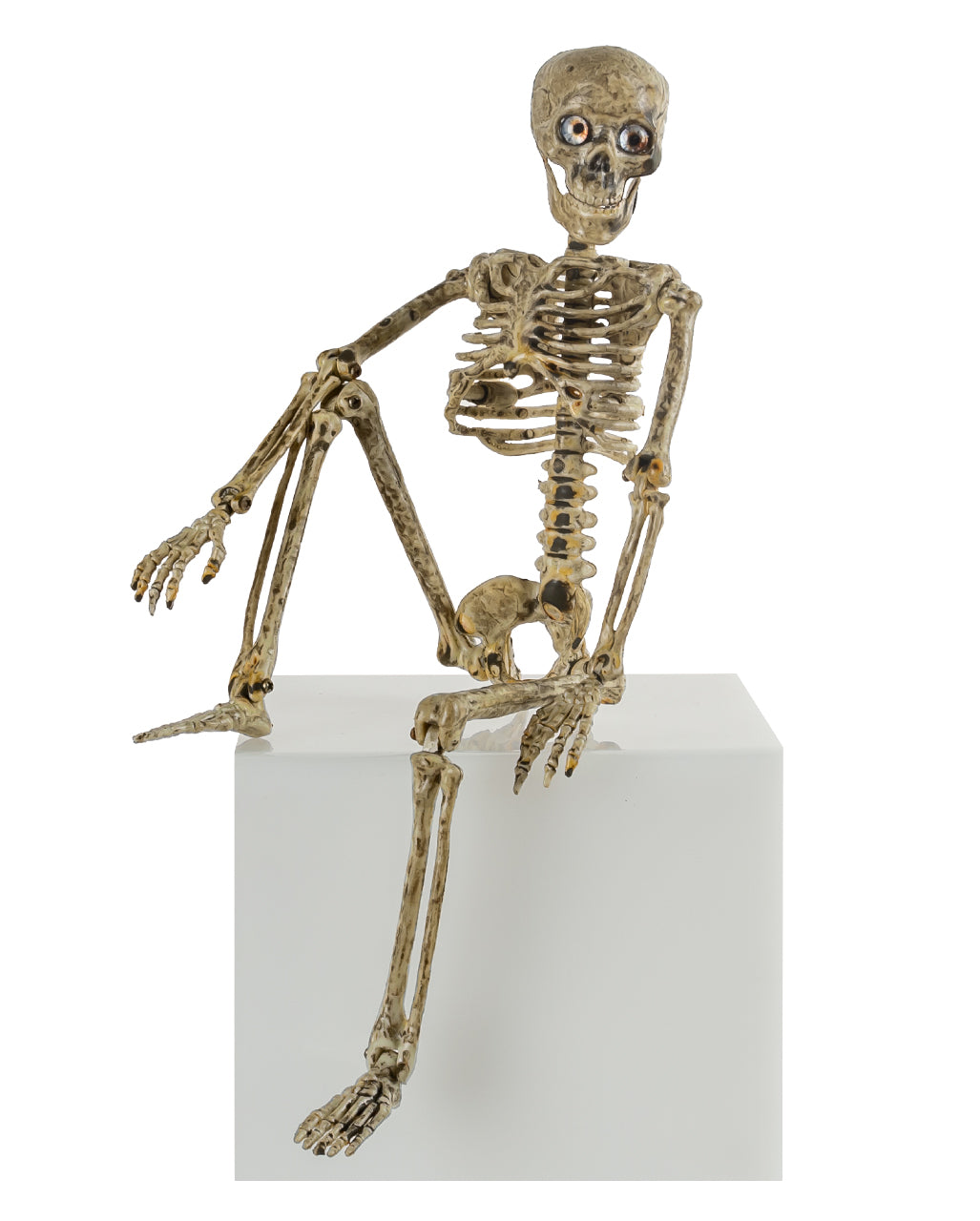Antique Beige Positionable Skeleton With Eyes 37cm