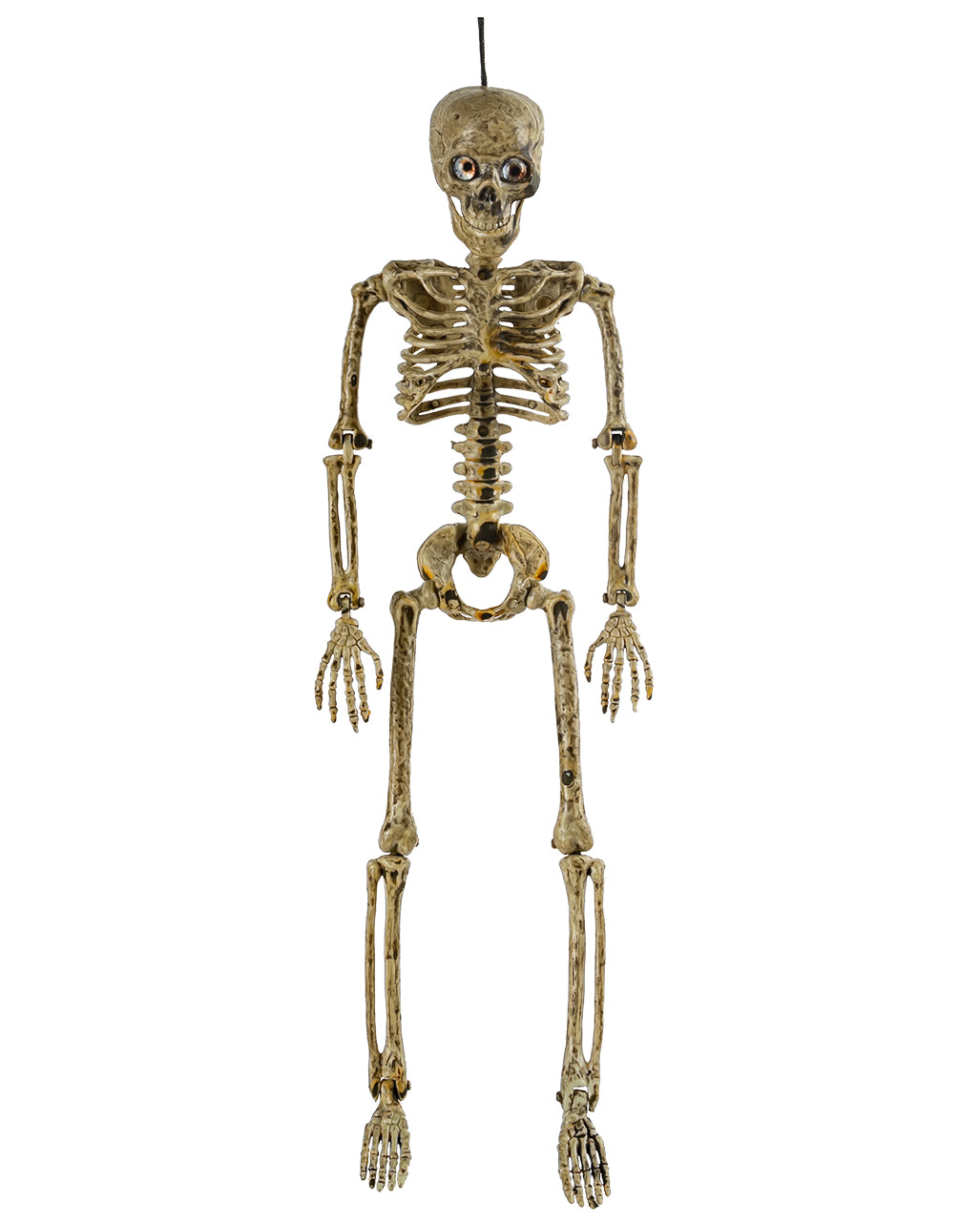 Antique Beige Positionable Skeleton With Eyes 37cm