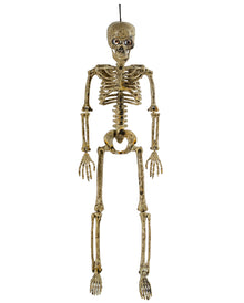 Antikbeiges Positionierbares Skelett mit Augen 37cm