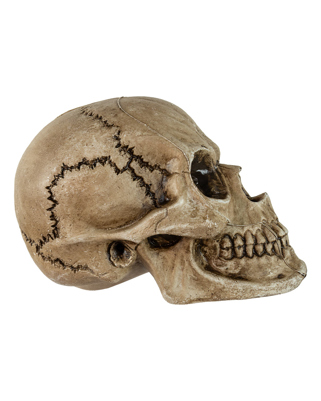 Antiker Morbid Relic Totenkopf 17cm