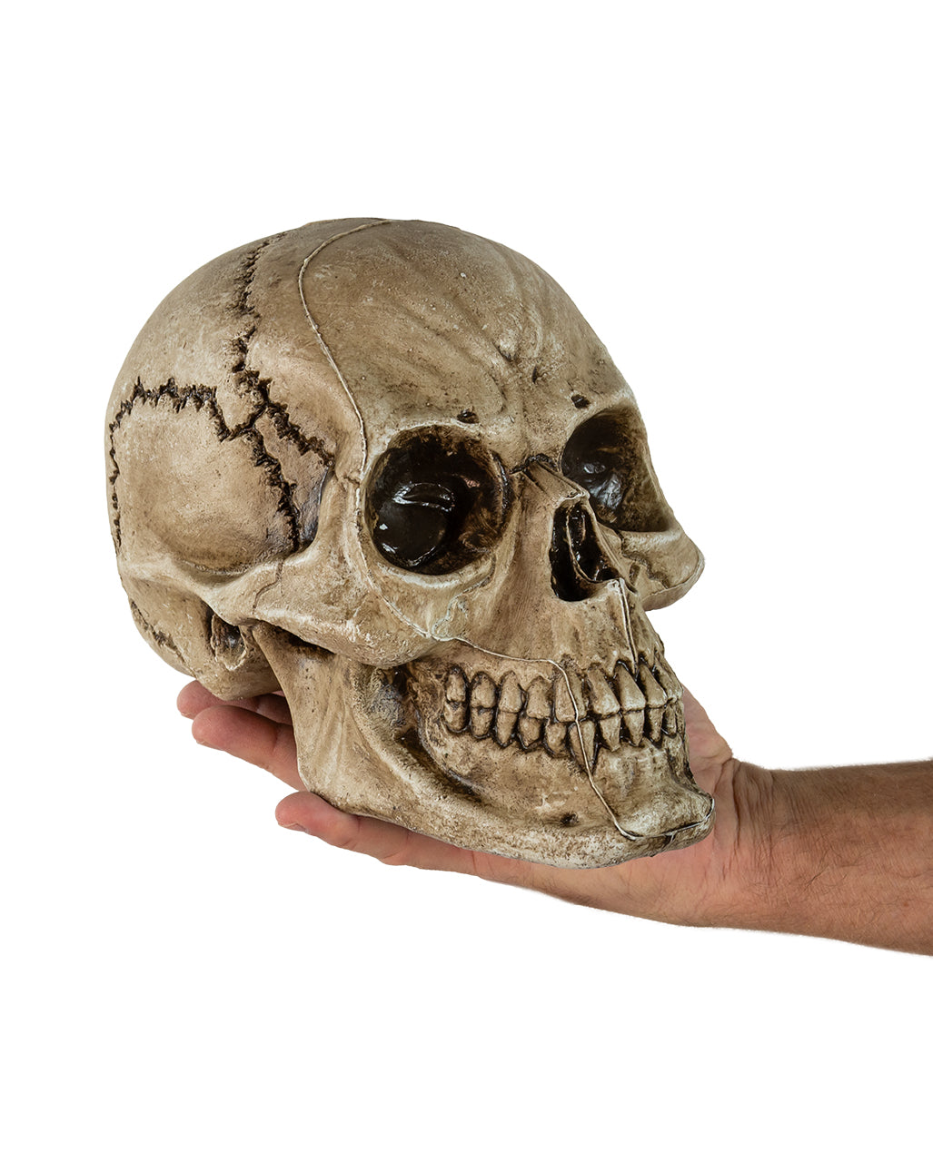 Antiker Morbid Relic Totenkopf 17cm