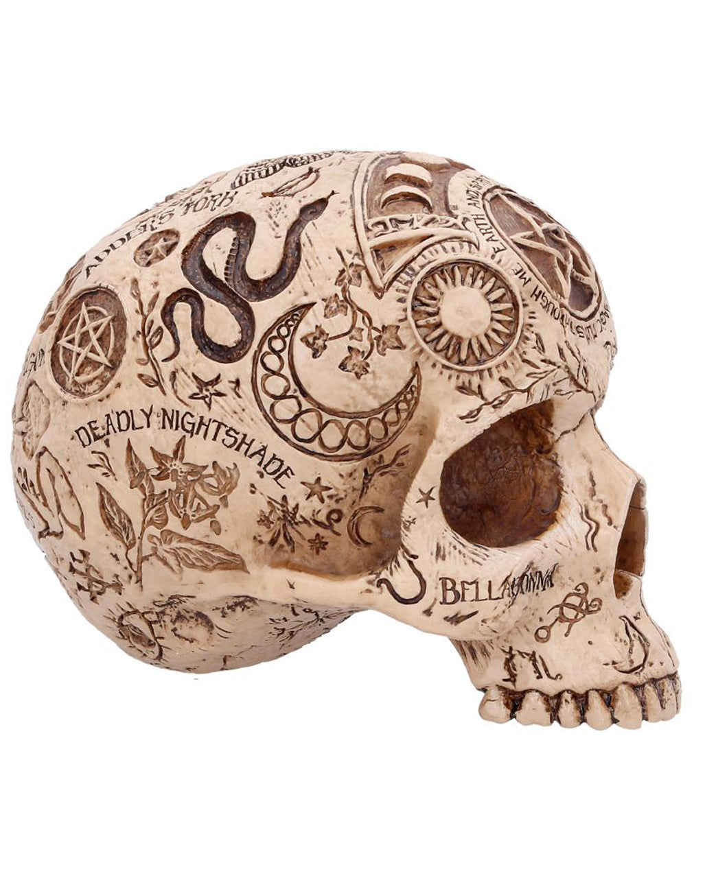Apothecary Totenkopf 14cm
