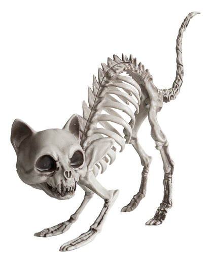 Cat Skeleton With Cat Hump Decoration 19cm