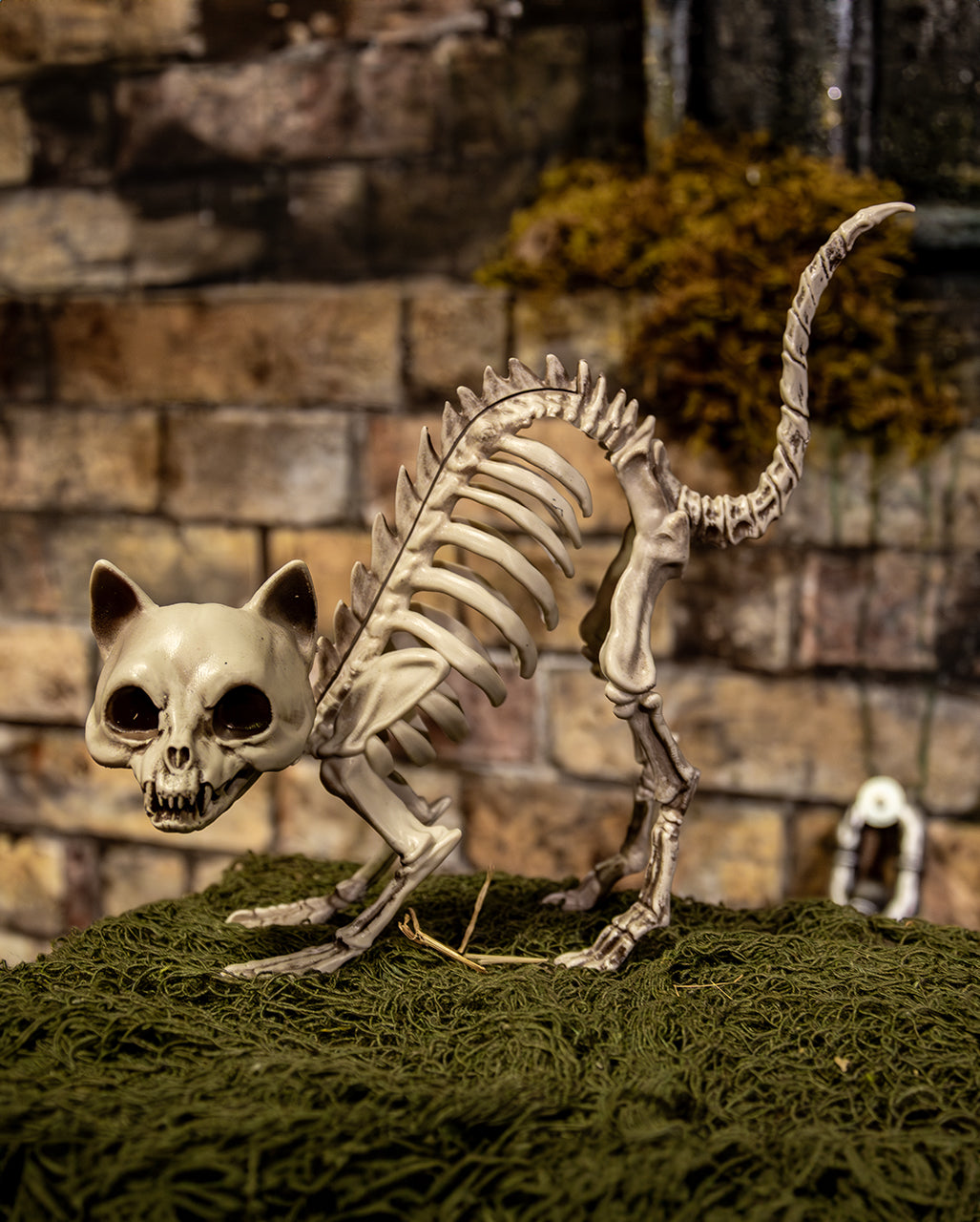Cat Skeleton With Cat Hump Decoration 19cm