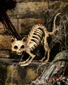 Katzenskelett mit Katzenbuckel Deko 19cm