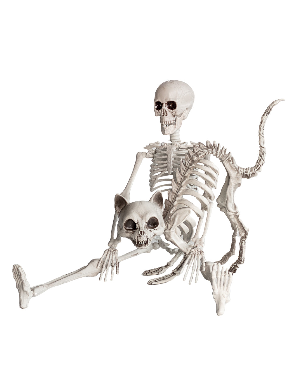 Cat Skeleton With Cat Hump Decoration 19cm