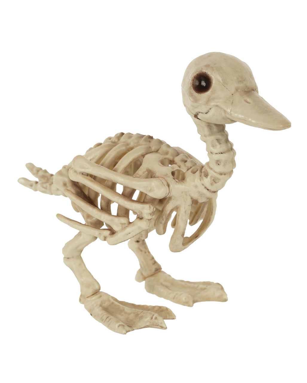 Bébé Squelette Canard 19cm