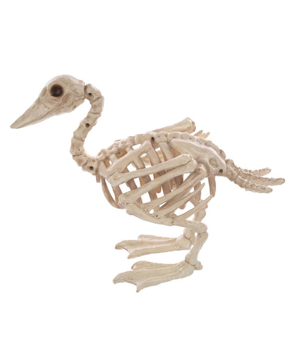Bébé Squelette Canard 19cm