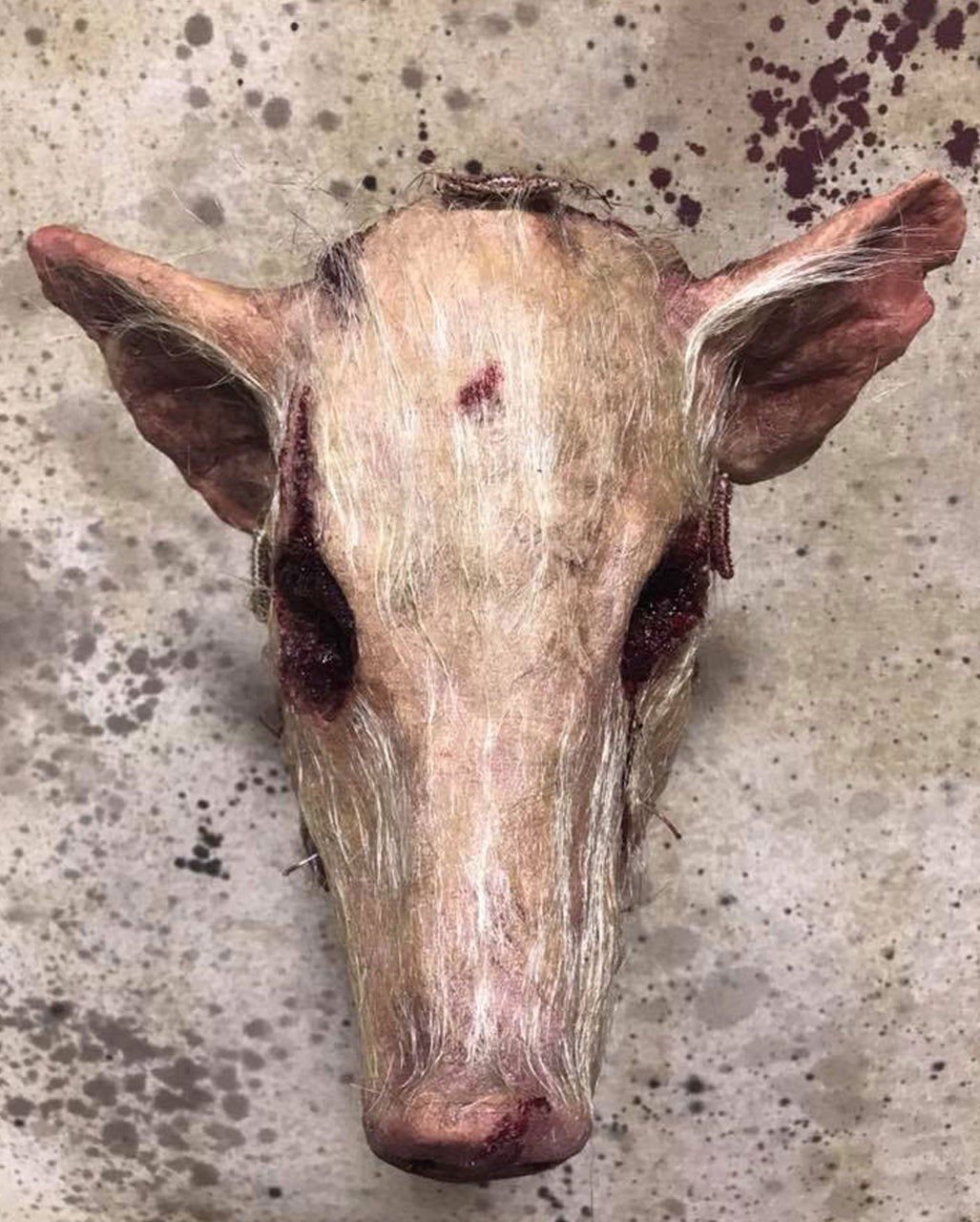Behaarte blutige Schweinekopf Maske