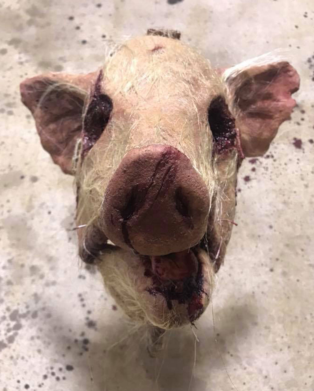 Behaarte blutige Schweinekopf Maske