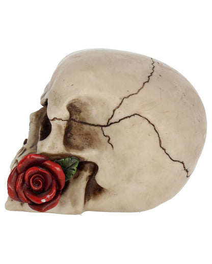 Beiger Totenkopf mit roter Rose 15cm