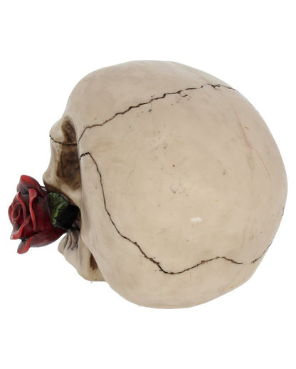 Beiger Totenkopf mit roter Rose 15cm