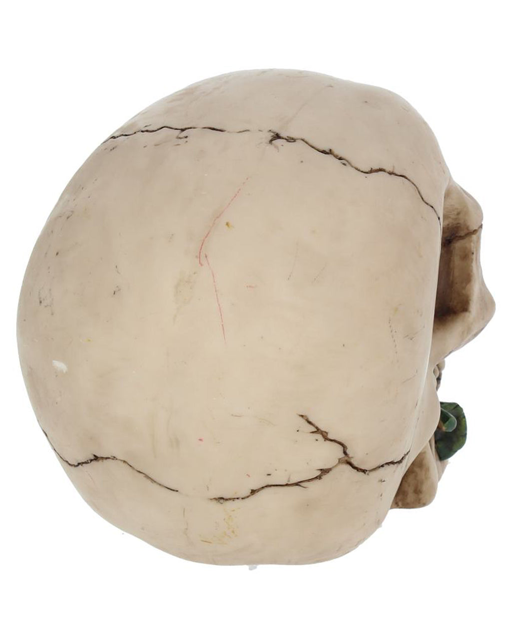 Beiger Totenkopf mit roter Rose 15cm