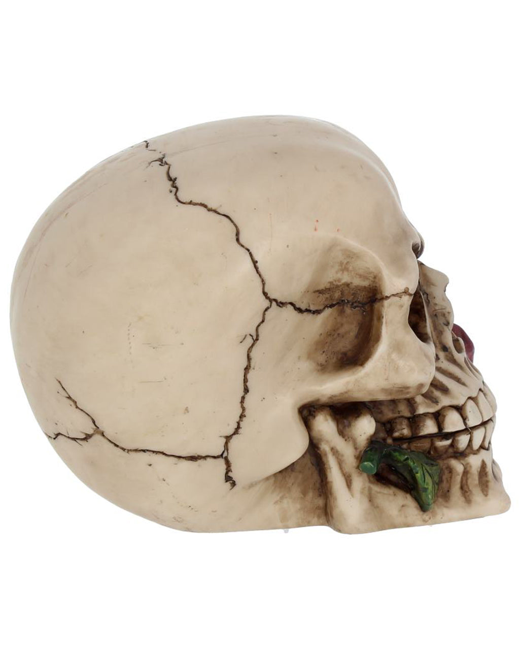 Beiger Totenkopf mit roter Rose 15cm