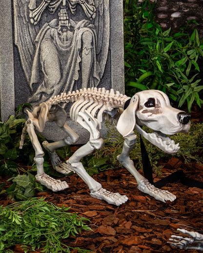 Bellender Skelett Hund mit leuchtenden Augen 70cm