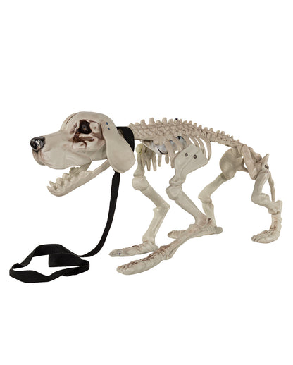 Bellender Skelett Hund mit leuchtenden Augen 70cm
