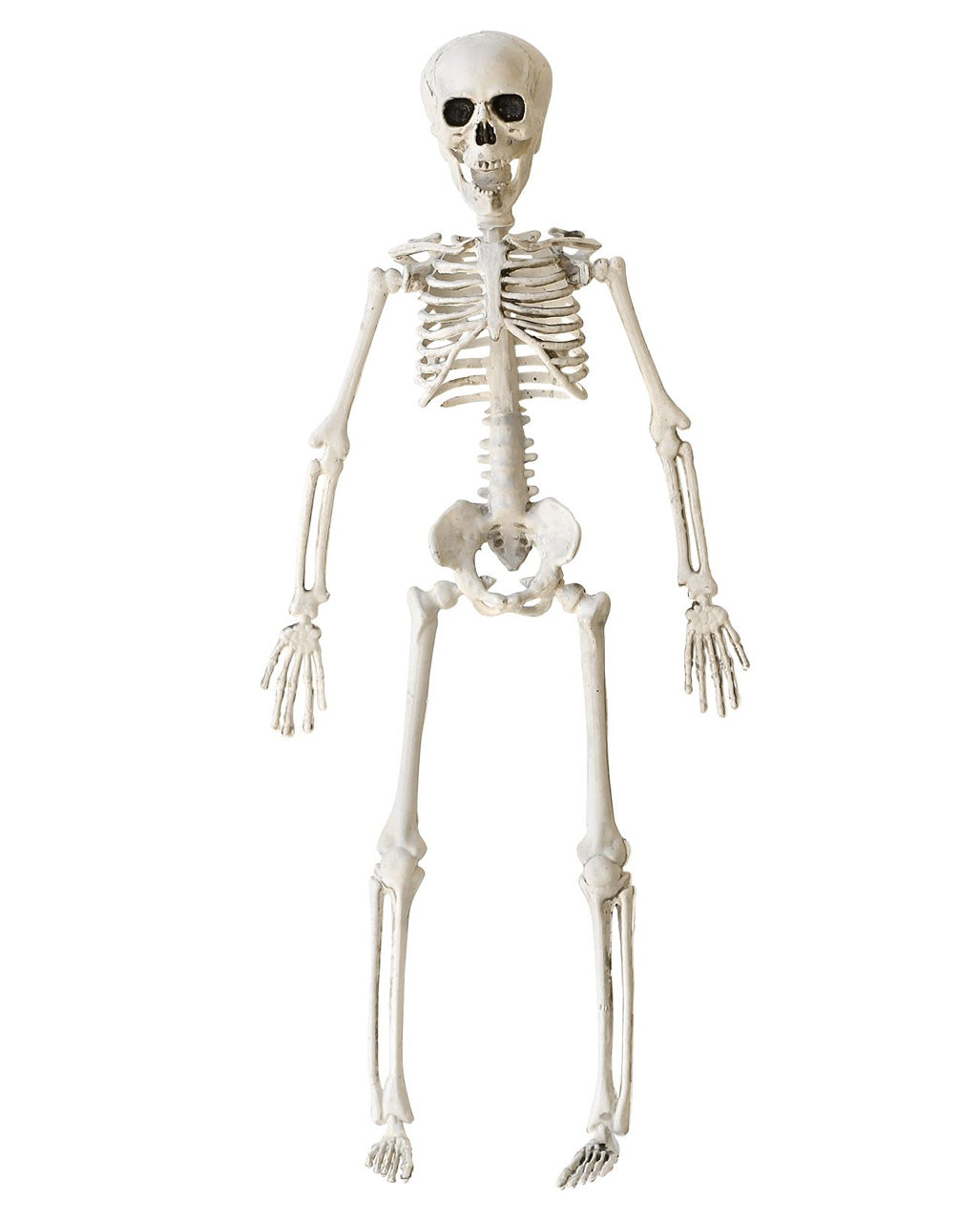 Halloween Skeleton 40 Cm