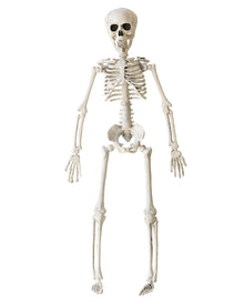 Halloween Skelett 40 cm