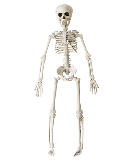 Halloween Skeleton 40 Cm