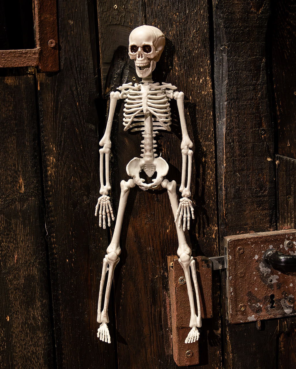 Halloween Skeleton 40 Cm
