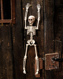 Halloween Skelett 40 cm