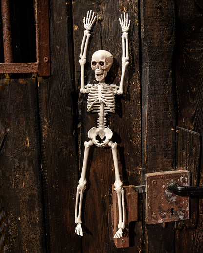 Halloween Skeleton 40 Cm