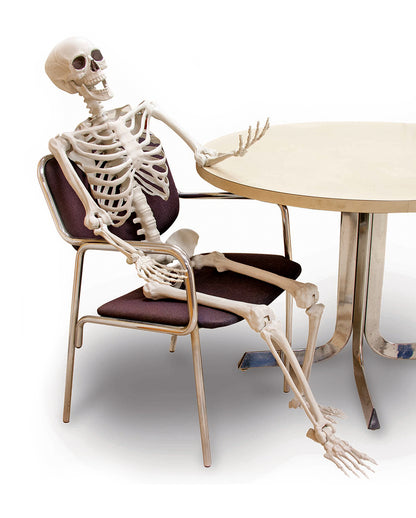Flexible Skeleton 152 Cm
