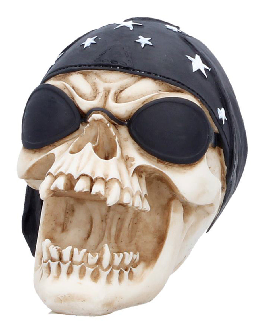 Halloween Schedel - Schedels kopen goedkoop online | Horror-Shop.com ...