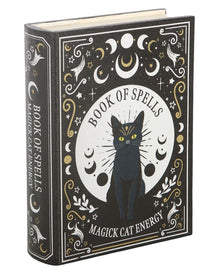 „Black Cat Magick“ Zauberbuch Aufbewahrungsbox 21cm