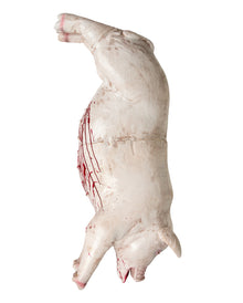 Bloody, Slashed Pig Carcass 105cm