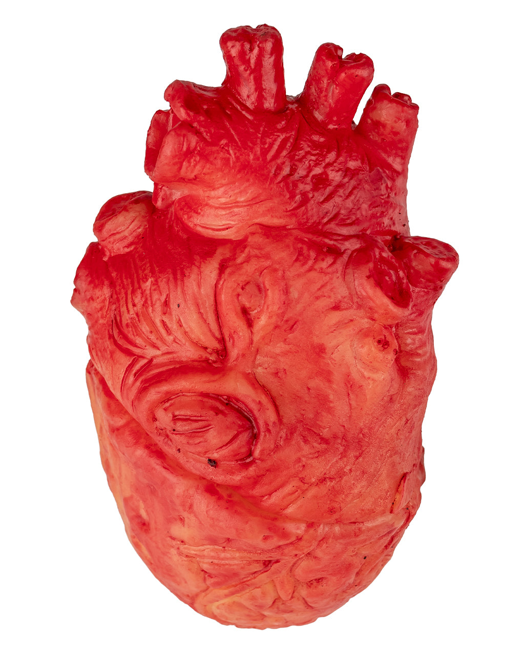 Bloedig Hart