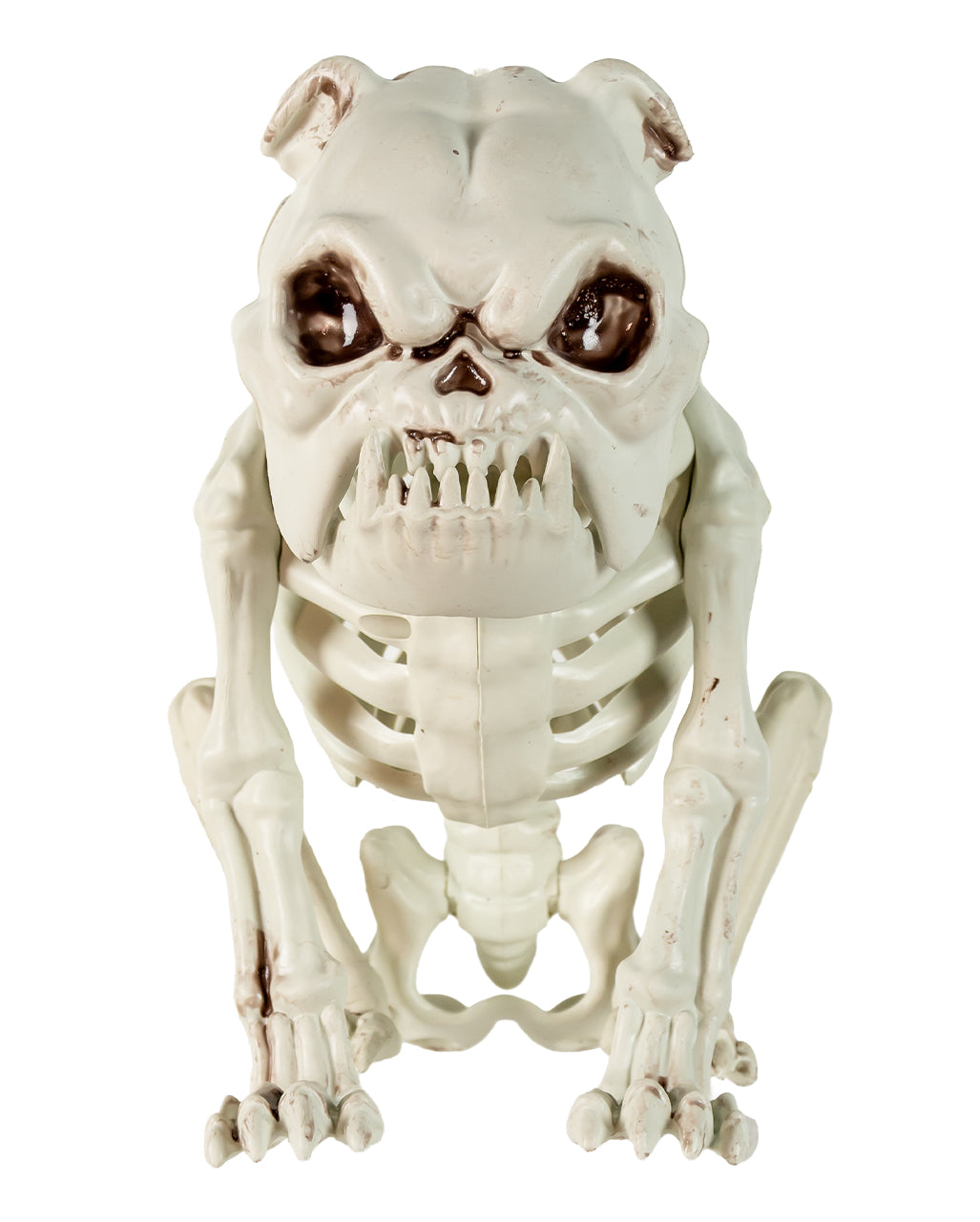 Bulldogge Hundeskelett als Halloween Deko 24cm