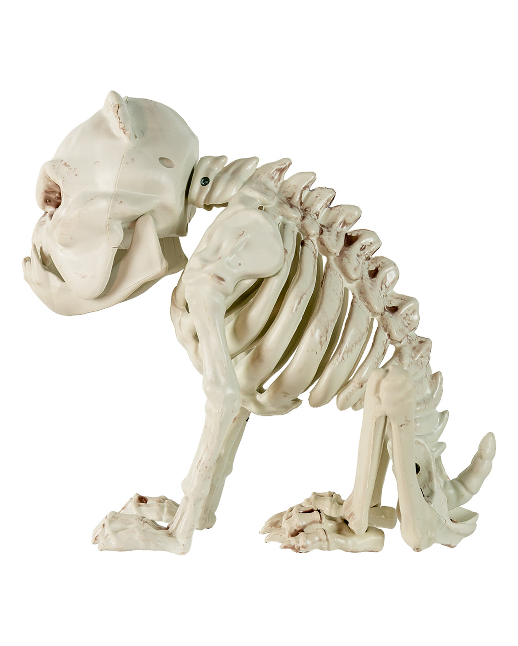 Bulldogge Hundeskelett als Halloween Deko 24cm