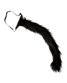 Buschiger Katzenschwanz