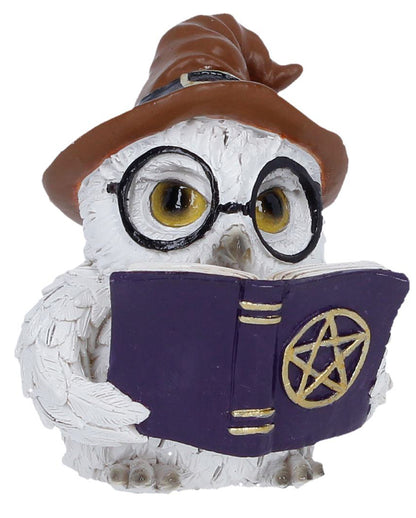 Cornelius Zauberhafte Schneeeule 9cm