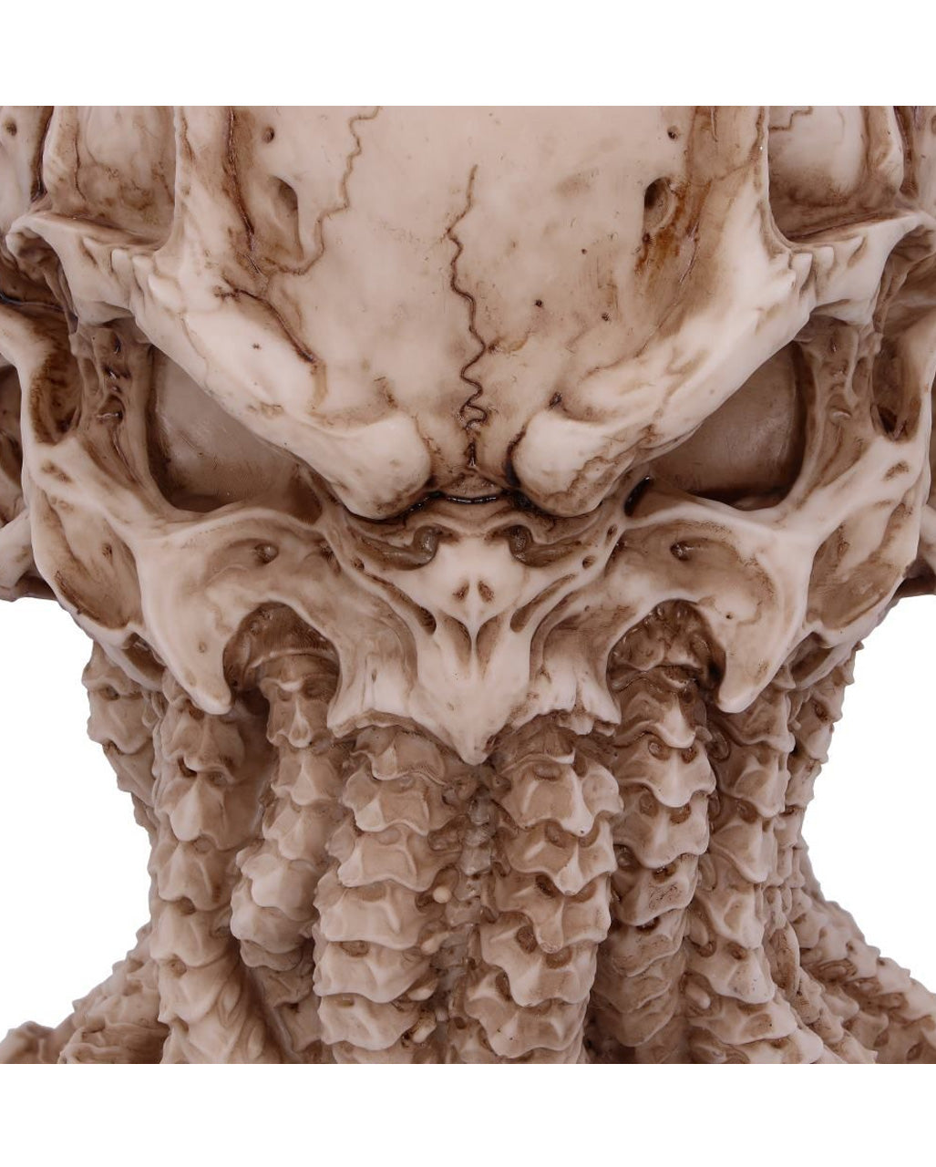 Cthulhu Totenschädel 20cm