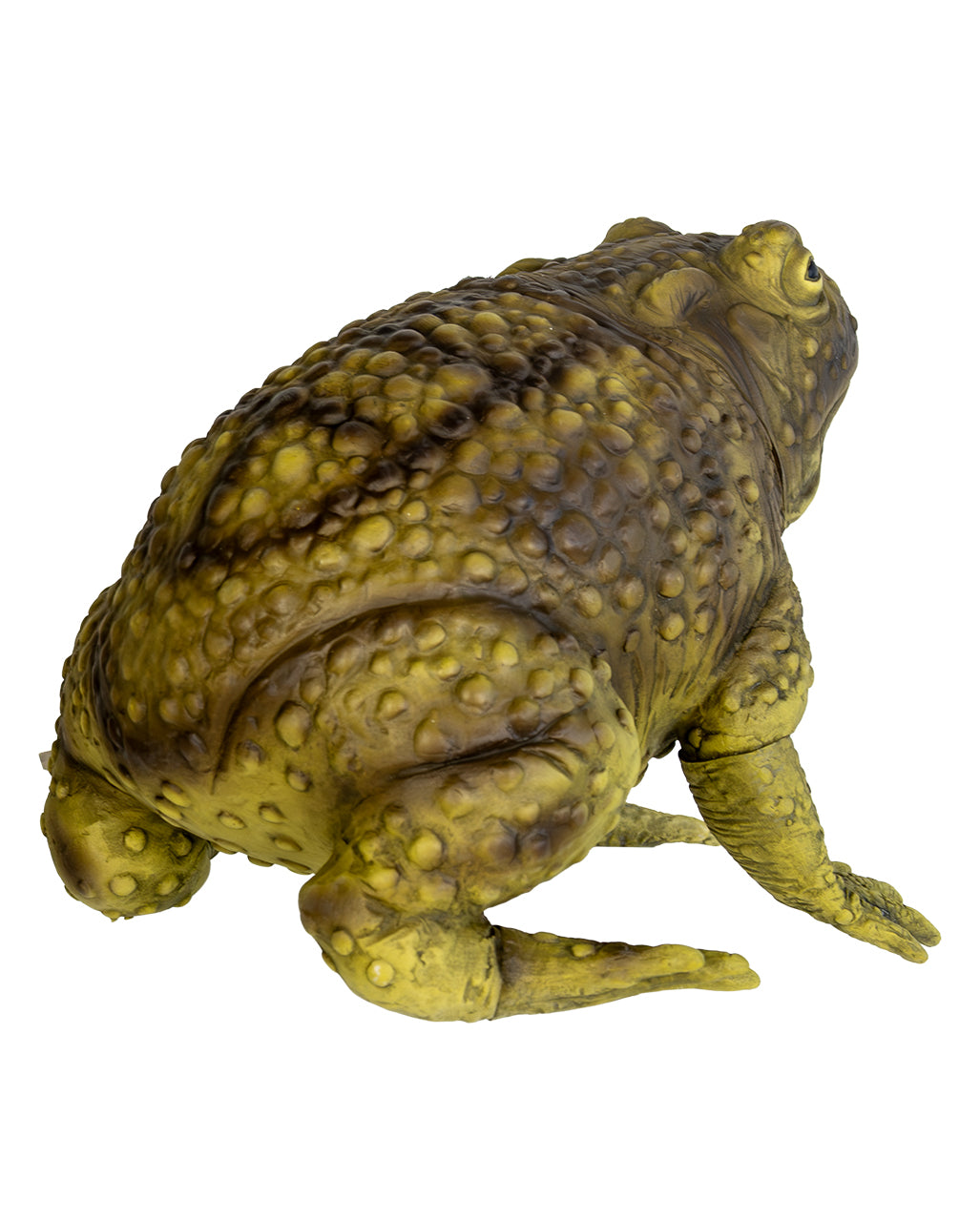 Dämonische Riesen-Schleimkröte Morbella 24cm