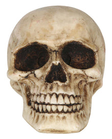 Deko Totenkopf 8cm