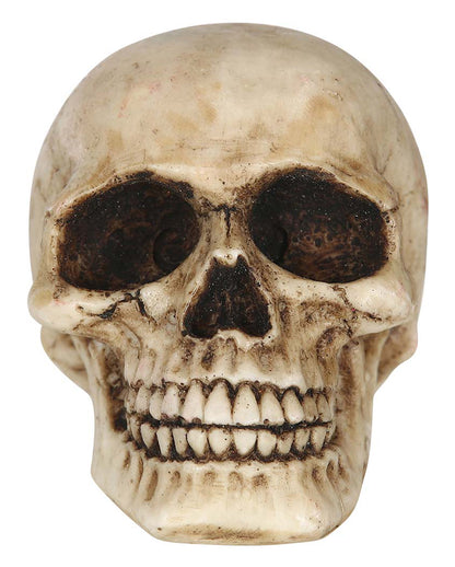 Decoration Skull 8cm