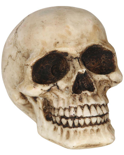 Decoration Skull 8cm