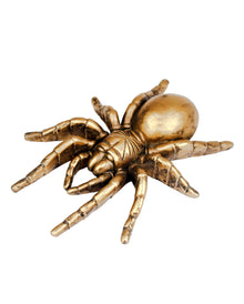 Dekorative Goldene Tarantel 12cm