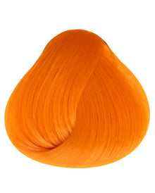 Apricot Directions